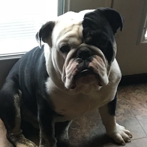 Meet your Posher, Jana - Picture 1 of 1